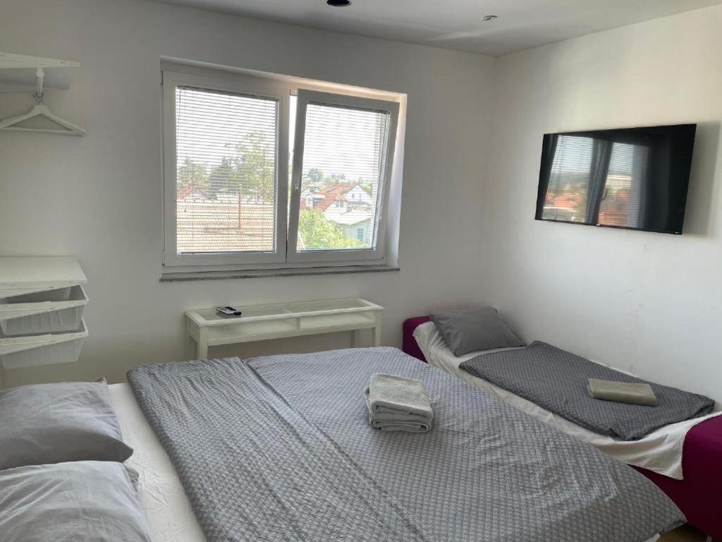 R41 - Tivoli Groundfloor Apartment Ljubljana Extérieur photo