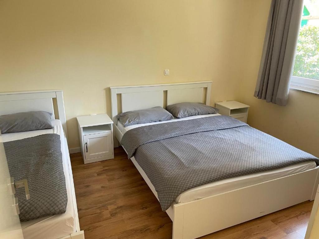 R41 - Tivoli Groundfloor Apartment Ljubljana Extérieur photo